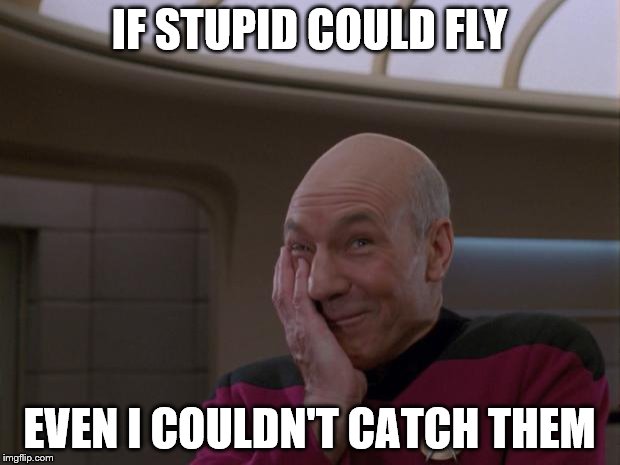 Stupid Joke Picard | IF STUPID COULD FLY; EVEN I COULDN'T CATCH THEM | image tagged in stupid joke picard | made w/ Imgflip meme maker