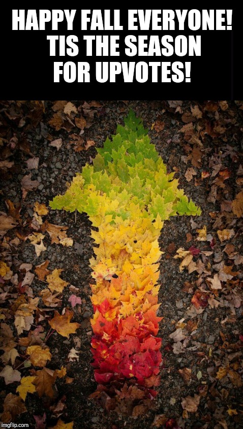 As the leaves are falling, it's time for upvoting!  | HAPPY FALL EVERYONE! TIS THE SEASON FOR UPVOTES! | image tagged in jbmemegeek,fall,fall leaves,upvotes,upvote week | made w/ Imgflip meme maker