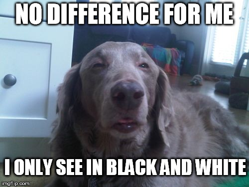 NO DIFFERENCE FOR ME I ONLY SEE IN BLACK AND WHITE | made w/ Imgflip meme maker