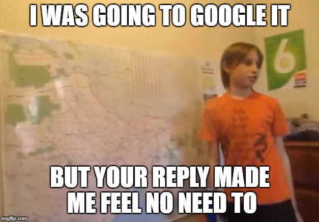 Skits, Bits and Nits | I WAS GOING TO GOOGLE IT BUT YOUR REPLY MADE ME FEEL NO NEED TO | image tagged in skits bits and nits | made w/ Imgflip meme maker
