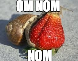 OM NOM; NOM | image tagged in daone | made w/ Imgflip meme maker