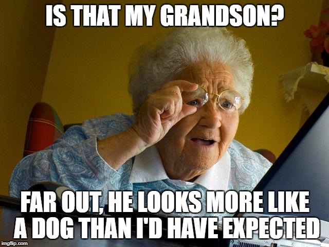 When Grandma doesn't recognise that it's a filter | IS THAT MY GRANDSON? FAR OUT, HE LOOKS MORE LIKE A DOG THAN I'D HAVE EXPECTED | image tagged in memes,grandma finds the internet,dank memes,snapchat,funny,teenager | made w/ Imgflip meme maker