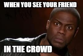 Kevin Hart | WHEN YOU SEE YOUR FRIEND; IN THE CROWD | image tagged in memes,kevin hart the hell | made w/ Imgflip meme maker