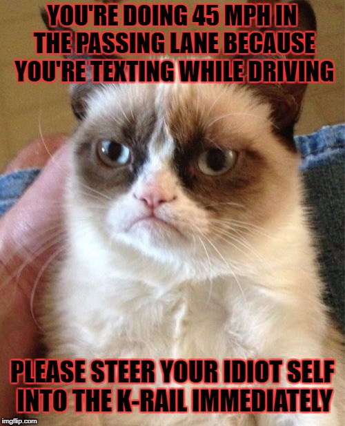 Grumpy Cat Meme | YOU'RE DOING 45 MPH IN THE PASSING LANE BECAUSE YOU'RE TEXTING WHILE DRIVING PLEASE STEER YOUR IDIOT SELF INTO THE K-RAIL IMMEDIATELY | image tagged in memes,grumpy cat | made w/ Imgflip meme maker