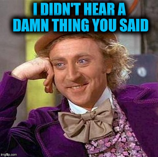 Creepy Condescending Wonka | I DIDN'T HEAR A DAMN THING YOU SAID | image tagged in memes,creepy condescending wonka | made w/ Imgflip meme maker