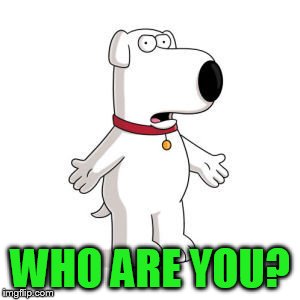 Is there a memer close to 421,000 points? Let us know! We will upvote you past jefftims and put you in the top 100! |  WHO ARE YOU? | image tagged in memes,family guy brian | made w/ Imgflip meme maker