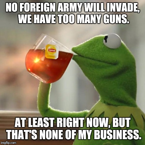But That's None Of My Business Meme | NO FOREIGN ARMY WILL INVADE, WE HAVE TOO MANY GUNS. AT LEAST RIGHT NOW, BUT THAT'S NONE OF MY BUSINESS. | image tagged in memes,but thats none of my business,kermit the frog | made w/ Imgflip meme maker