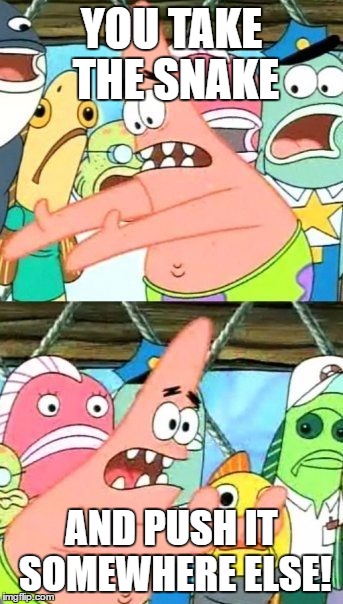 Put It Somewhere Else Patrick | YOU TAKE THE SNAKE; AND PUSH IT SOMEWHERE ELSE! | image tagged in memes,put it somewhere else patrick | made w/ Imgflip meme maker