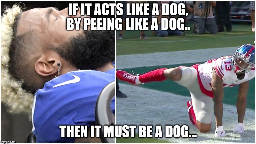 IF IT ACTS LIKE A DOG, BY PEEING LIKE A DOG.. THEN IT MUST BE A DOG... | made w/ Imgflip meme maker