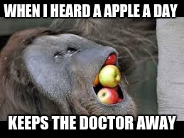 an apple a day keeps the doctor away | WHEN I HEARD A APPLE A DAY; KEEPS THE DOCTOR AWAY | image tagged in original meme | made w/ Imgflip meme maker