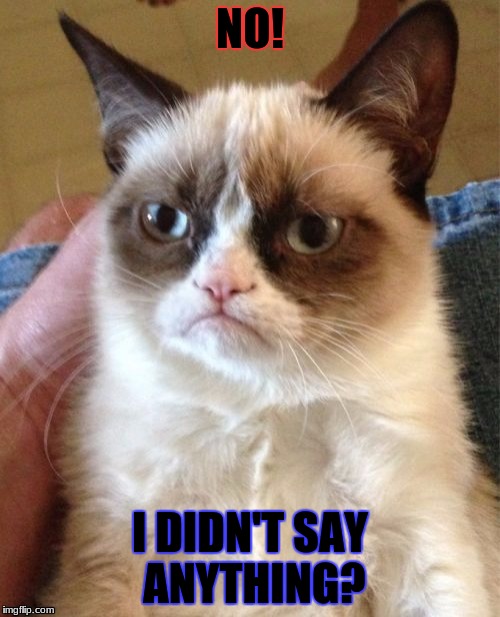 Grumpy Cat Meme | NO! I DIDN'T SAY ANYTHING? | image tagged in memes,grumpy cat | made w/ Imgflip meme maker