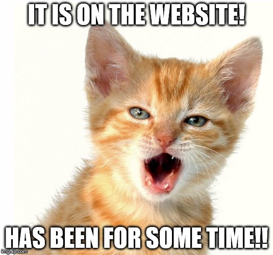 Angry Cat 0 | IT IS ON THE WEBSITE! HAS BEEN FOR SOME TIME!! | image tagged in angry cat 0,funn,angry cat,funny | made w/ Imgflip meme maker