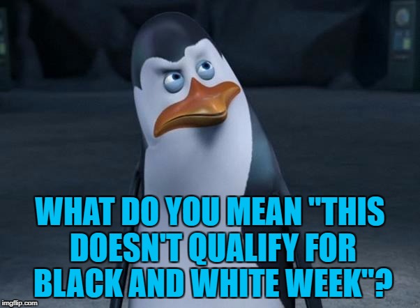 Maybe yes... Maybe no... :) | WHAT DO YOU MEAN "THIS DOESN'T QUALIFY FOR BLACK AND WHITE WEEK"? | image tagged in the penguins,memes,black and white week,madagascar,films,animals | made w/ Imgflip meme maker