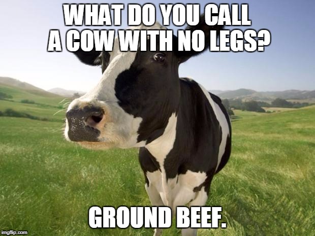 cow | WHAT DO YOU CALL A COW WITH NO LEGS? GROUND BEEF. | image tagged in cow | made w/ Imgflip meme maker