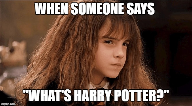 WHEN SOMEONE SAYS; "WHAT'S HARRY POTTER?" | image tagged in funny,memes,harry potter | made w/ Imgflip meme maker