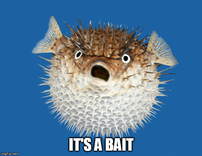 IT'S A BAIT | made w/ Imgflip meme maker