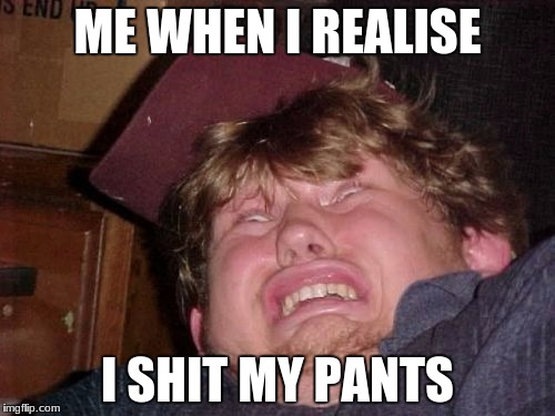 WTF Meme | ME WHEN I REALISE; I SHIT MY PANTS | image tagged in memes,wtf | made w/ Imgflip meme maker