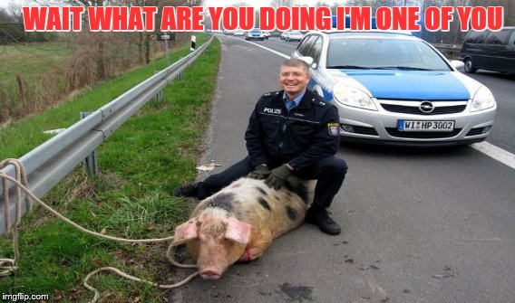 pork | WAIT WHAT ARE YOU DOING I'M ONE OF YOU | image tagged in cop | made w/ Imgflip meme maker