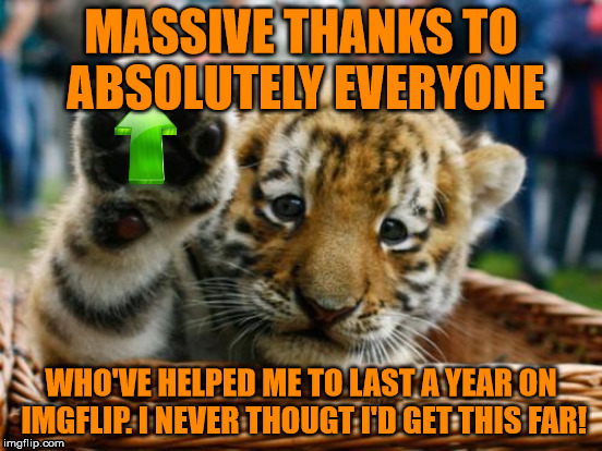 MASSIVE THANKS TO ABSOLUTELY EVERYONE WHO'VE HELPED ME TO LAST A YEAR ON IMGFLIP. I NEVER THOUGT I'D GET THIS FAR! | made w/ Imgflip meme maker