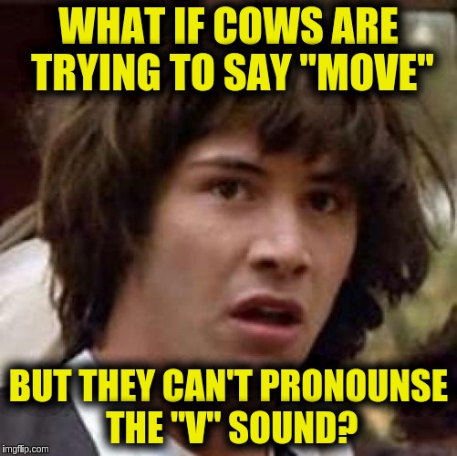 Conspiracy Keanu | WHAT IF COWS ARE TRYING TO SAY "MOVE"; BUT THEY CAN'T PRONOUNSE THE "V" SOUND? | image tagged in memes,conspiracy keanu | made w/ Imgflip meme maker