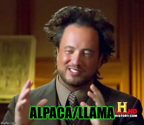 Ancient Aliens Meme | ALPACA/LLAMA | image tagged in memes,ancient aliens | made w/ Imgflip meme maker
