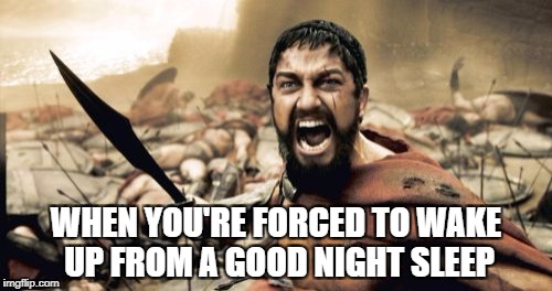 Sparta Leonidas Meme | WHEN YOU'RE FORCED TO WAKE UP FROM A GOOD NIGHT SLEEP | image tagged in memes,sparta leonidas | made w/ Imgflip meme maker