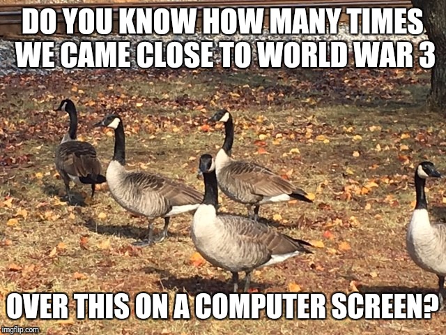 Geese | DO YOU KNOW HOW MANY TIMES WE CAME CLOSE TO WORLD WAR 3; OVER THIS ON A COMPUTER SCREEN? | image tagged in geese | made w/ Imgflip meme maker
