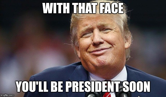 Trump Oopsie | WITH THAT FACE YOU'LL BE PRESIDENT SOON | image tagged in trump oopsie | made w/ Imgflip meme maker