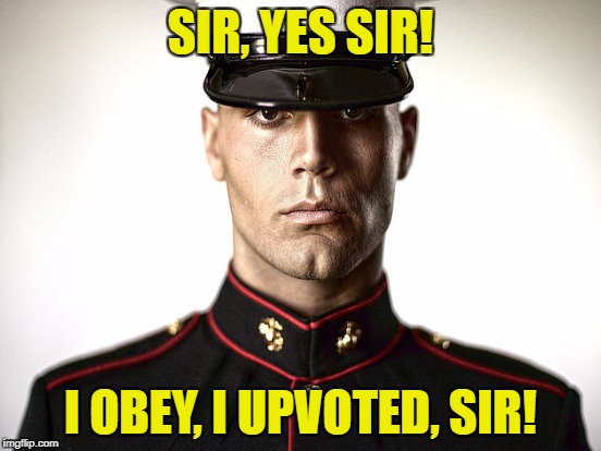 SIR, YES SIR! I OBEY, I UPVOTED, SIR! | made w/ Imgflip meme maker