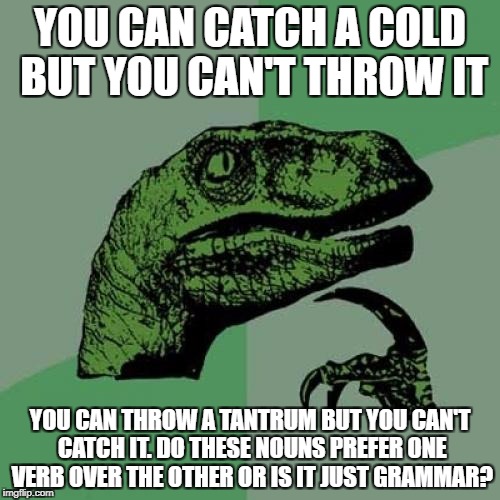 Philosoraptor Meme | YOU CAN CATCH A COLD BUT YOU CAN'T THROW IT; YOU CAN THROW A TANTRUM BUT YOU CAN'T CATCH IT. DO THESE NOUNS PREFER ONE VERB OVER THE OTHER OR IS IT JUST GRAMMAR? | image tagged in memes,philosoraptor | made w/ Imgflip meme maker