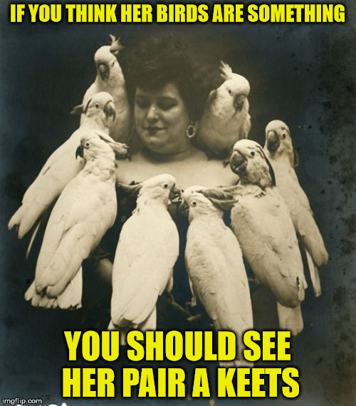 anyone here remember that Jud Strunk Song? | IF YOU THINK HER BIRDS ARE SOMETHING; YOU SHOULD SEE HER PAIR A KEETS | image tagged in birds,parrots,victorian woman | made w/ Imgflip meme maker