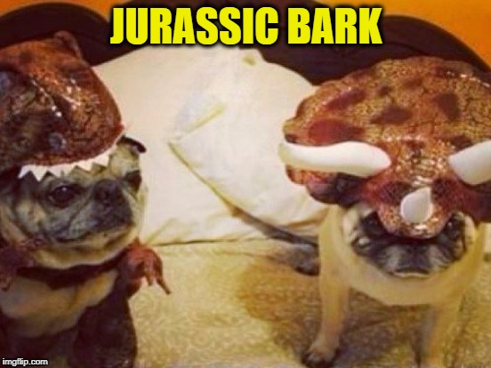 What do you get when dinosaurs crash their cars? Tyrannosaurus wrecks! | JURASSIC BARK | image tagged in funny,memes,animals,dogs,dinosaurs,jurassic park | made w/ Imgflip meme maker