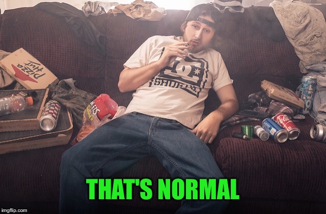 Stoner on couch | THAT'S NORMAL | image tagged in stoner on couch | made w/ Imgflip meme maker