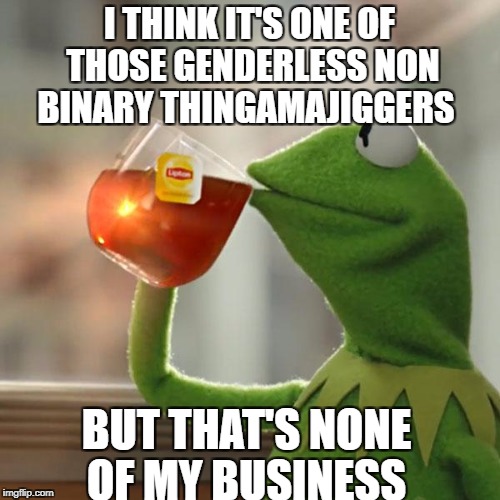 But That's None Of My Business Meme | I THINK IT'S ONE OF THOSE GENDERLESS NON BINARY THINGAMAJIGGERS BUT THAT'S NONE OF MY BUSINESS | image tagged in memes,but thats none of my business,kermit the frog | made w/ Imgflip meme maker