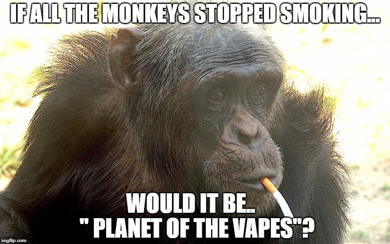 IF ALL THE MONKEYS STOPPED SMOKING... WOULD IT BE..      " PLANET OF THE VAPES"? | image tagged in monkey business | made w/ Imgflip meme maker