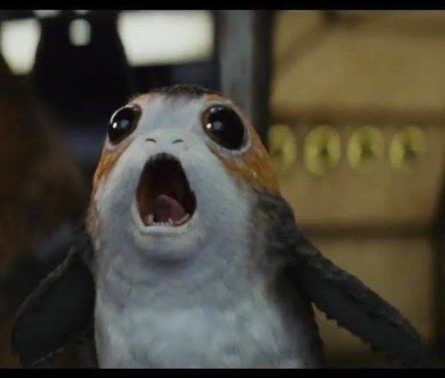 Porg Blank Meme Template