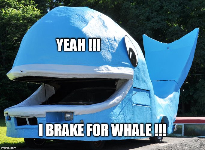 YEAH !!! I BRAKE FOR WHALE !!! | made w/ Imgflip meme maker