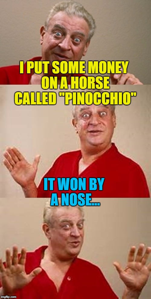  He didn't have a long face after that... :) | I PUT SOME MONEY ON A HORSE CALLED "PINOCCHIO"; IT WON BY A NOSE... | image tagged in bad pun dangerfield,memes,horse racing,sport,gambling,pinocchio | made w/ Imgflip meme maker
