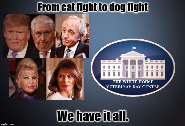 Veterinary Day Center |  From cat fight to dog fight; We have it all. | image tagged in donald trump,rex tillerson,ivana trump,melania trump,trump is a moron,resist | made w/ Imgflip meme maker