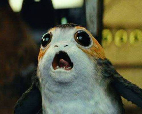 Porg Blank Meme Template