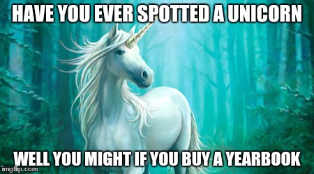 Unicorn | HAVE YOU EVER SPOTTED A UNICORN; WELL YOU MIGHT IF YOU BUY A YEARBOOK | image tagged in unicorn | made w/ Imgflip meme maker
