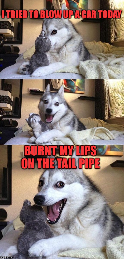 Bad Pun Dog | I TRIED TO BLOW UP A CAR TODAY; BURNT MY LIPS ON THE TAIL PIPE | image tagged in memes,bad pun dog | made w/ Imgflip meme maker