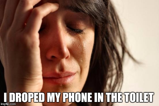 First World Problems Meme | I DROPED MY PHONE IN THE TOILET | image tagged in memes,first world problems | made w/ Imgflip meme maker