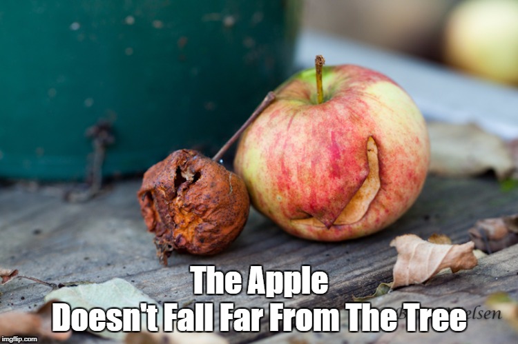 The Apple Doesn't Fall Far From The Tree | made w/ Imgflip meme maker