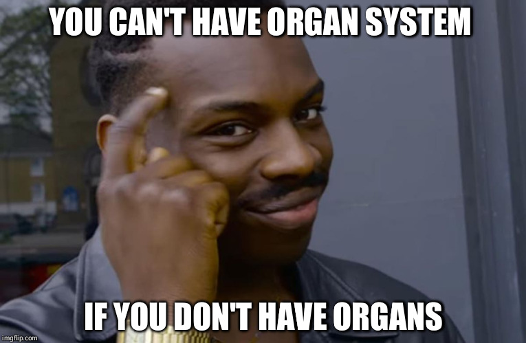 you can't if you don't | YOU CAN'T HAVE ORGAN SYSTEM; IF YOU DON'T HAVE ORGANS | image tagged in you can't if you don't | made w/ Imgflip meme maker