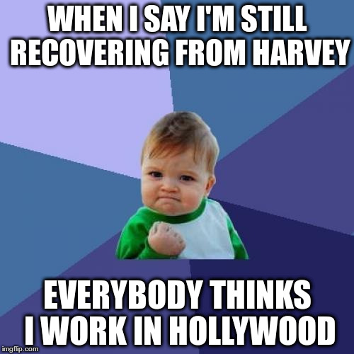 Success Kid Meme | WHEN I SAY I'M STILL RECOVERING FROM HARVEY; EVERYBODY THINKS I WORK IN HOLLYWOOD | image tagged in memes,success kid | made w/ Imgflip meme maker