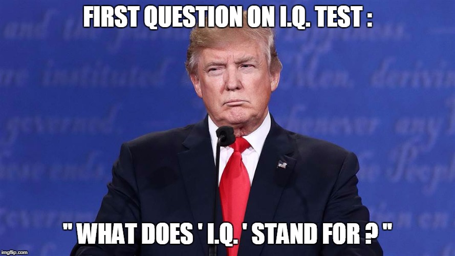 FIRST QUESTION ON I.Q. TEST :; " WHAT DOES ' I.Q. ' STAND FOR ? " | image tagged in trump | made w/ Imgflip meme maker