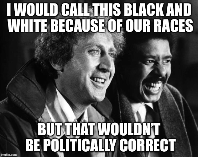 I WOULD CALL THIS BLACK AND WHITE BECAUSE OF OUR RACES; BUT THAT WOULDN’T BE POLITICALLY CORRECT | image tagged in bw meme week,memes,funny | made w/ Imgflip meme maker