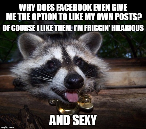 Just gotta delete some code. Geeze! | WHY DOES FACEBOOK EVEN GIVE ME THE OPTION TO LIKE MY OWN POSTS? OF COURSE I LIKE THEM. I'M FRIGGIN' HILARIOUS; AND SEXY | image tagged in facebook,racoon,facebook likes | made w/ Imgflip meme maker