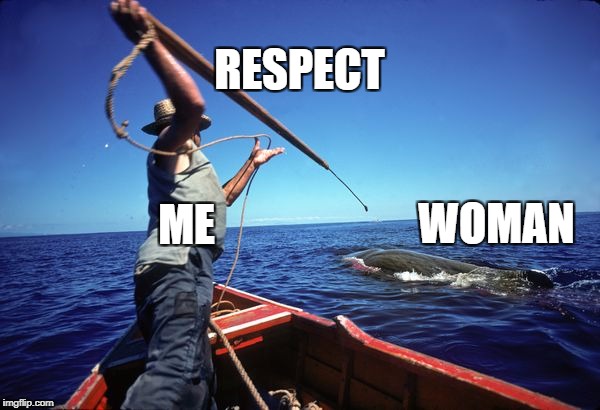 respecting whamen | RESPECT; WOMAN; ME | image tagged in memes | made w/ Imgflip meme maker